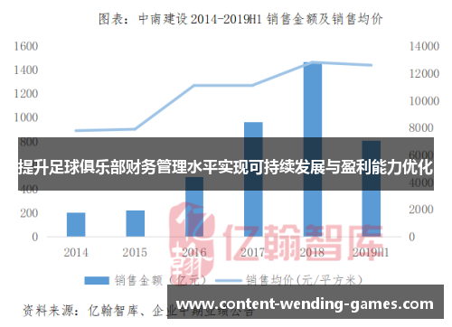 提升足球俱乐部财务管理水平实现可持续发展与盈利能力优化