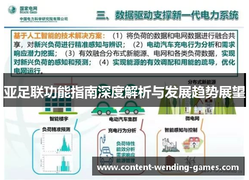 亚足联功能指南深度解析与发展趋势展望
