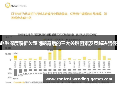 赵鹏深度解析欠薪问题背后的三大关键因素及其解决路径