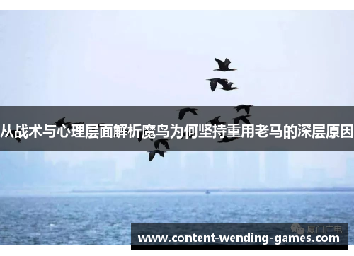 从战术与心理层面解析魔鸟为何坚持重用老马的深层原因