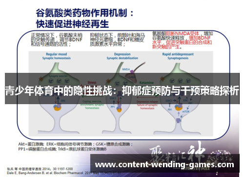 青少年体育中的隐性挑战：抑郁症预防与干预策略探析