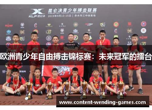 欧洲青少年自由搏击锦标赛：未来冠军的擂台